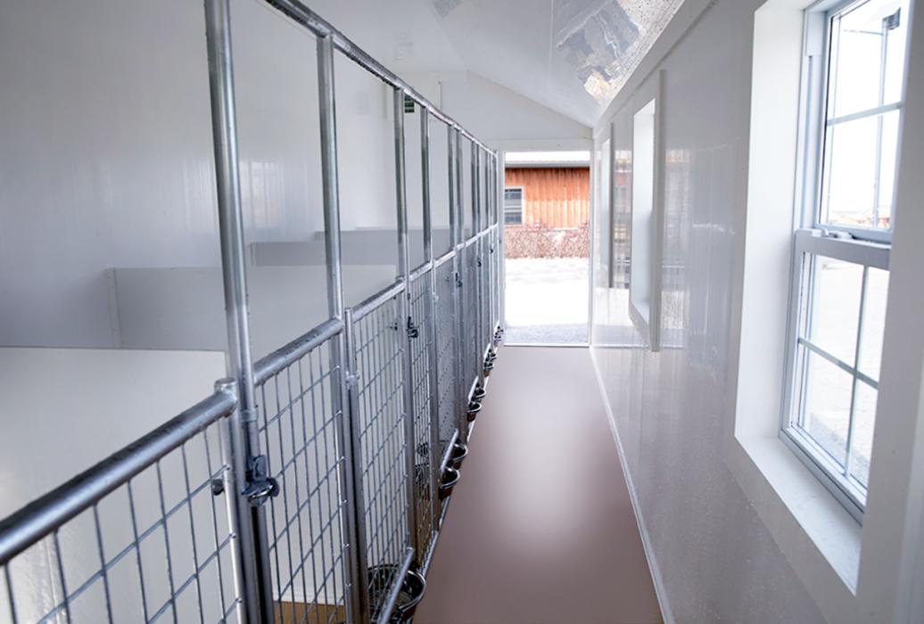 12' x 22' Kennel Lancaster Barns